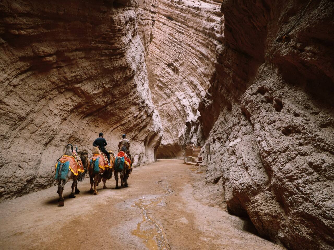 The Canyons