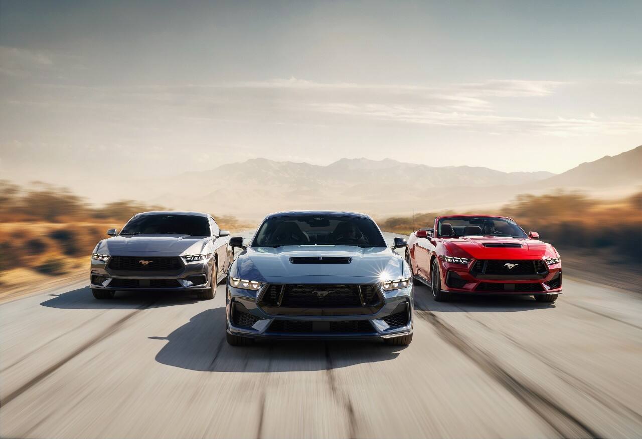 The Mustang Family