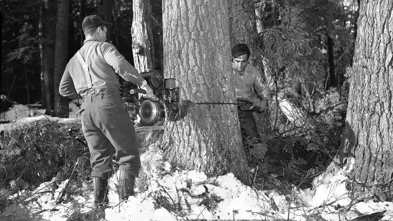 1946 Ford lumbering operations
