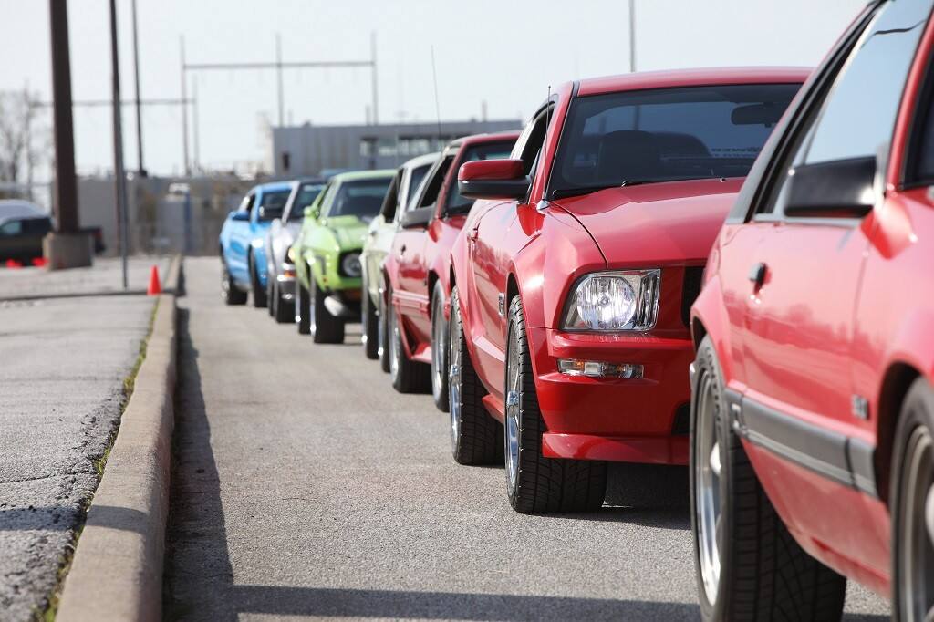 a long line of Mustangs