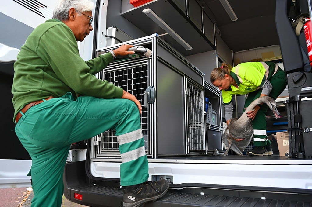 The Amsterdam Animal Ambulance